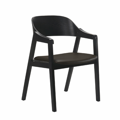 Norway Chair Black Frame